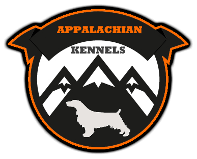 appalachian springer spaniels